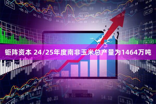 钜阵资本 24/25年度南非玉米总产量为1464万吨