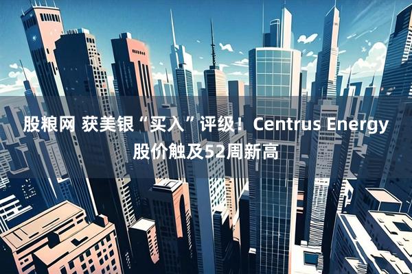股粮网 获美银“买入”评级！Centrus Energy股价触及52周新高