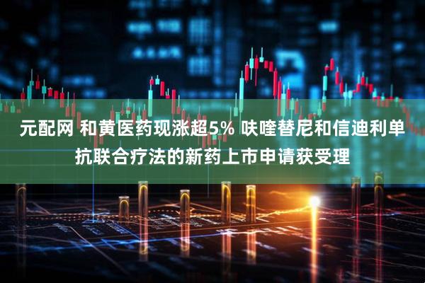 元配网 和黄医药现涨超5% 呋喹替尼和信迪利单抗联合疗法的新药上市申请获受理