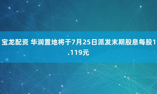 宝龙配资 华润置地将于7月25日派发末期股息每股1.119元