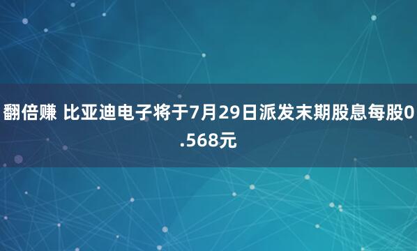 翻倍赚 比亚迪电子将于7月29日派发末期股息每股0.568元
