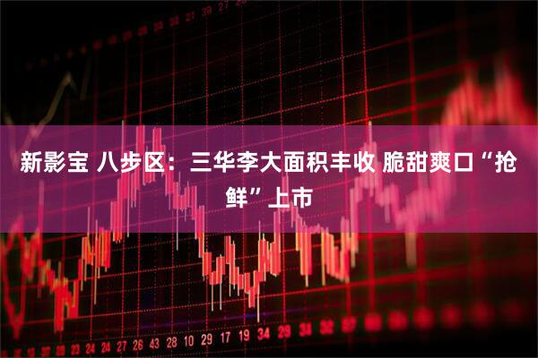 新影宝 八步区：三华李大面积丰收 脆甜爽口“抢鲜”上市