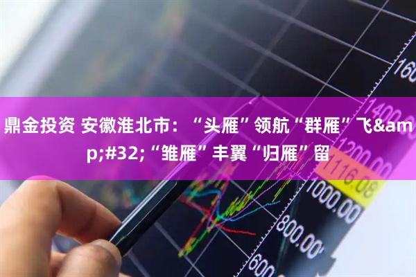 鼎金投资 安徽淮北市：“头雁”领航“群雁”飞&#32;“雏雁”丰翼“归雁”留