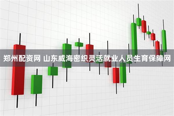 郑州配资网 山东威海密织灵活就业人员生育保障网