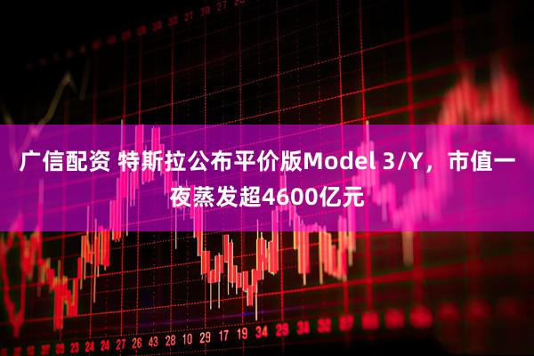 广信配资 特斯拉公布平价版Model 3/Y,市值一夜蒸发超4600亿元
