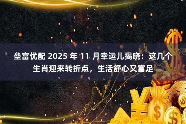 垒富优配 2025 年 11 月幸运儿揭晓：这几个生肖迎来转折点，生活舒心又富足